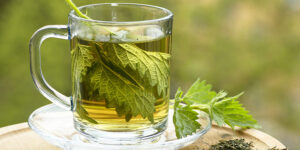 Nettle tea in glass. Fresh and dry nettle.