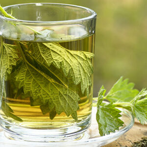 Nettle tea in glass. Fresh and dry nettle.