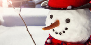 Happy Snowman with red plaid hat and scarf and carrot nose