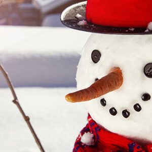 Happy Snowman with red plaid hat and scarf and carrot nose